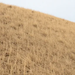 a close up of a dry hill with sparse scrub grass, highly detailed texture