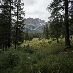trending incredible award-winning beautiful landscape from r/earthporn subreddit