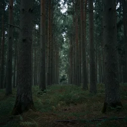 beksinski  woods moody background