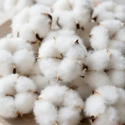 [ [ cotton balls ] ] : : cotton texture, made of cotton : : 8 k