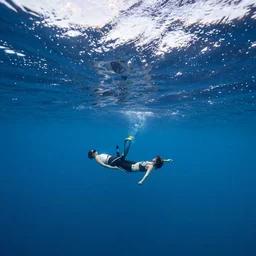 an underwater shot from the Caribbean sea between Cuba and Hispaniola, still from the BBC Earth documentary (2018)