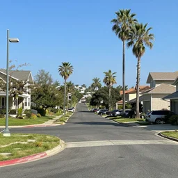 bene gesserit suburban