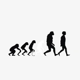 minimalist illustration of the evolution starting with a monkey, ending at a modern life human, vector illustration, black and white, silhouette