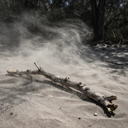 a dry and dead branch in a forest of sand and coal, dust, wind, advertising photography