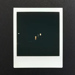 polaroid of ambiguity