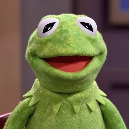 kermit the frog from friends ( 1 9 9 7 sitcom ), very detailed face