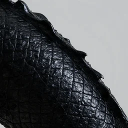 black dragon skin, iridescent, macro shot, minimalistic, colorful lighting, ambience, 3 d render