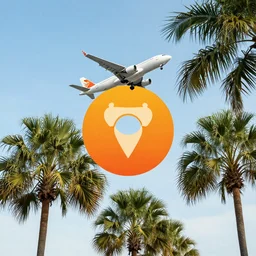 a plane flying over some palm trees, logo