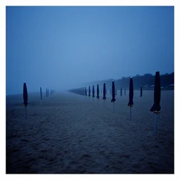 rows of open beach umbrellas lining a sandy beach, fog, deep blue mood, contemporary archival color photograph print from the original negative, by stanley kubrick