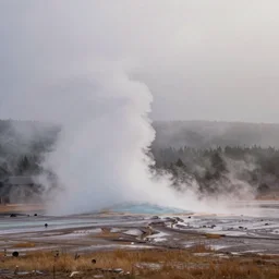 photo of misty morning at yellowstone park geysers hot springs award winning photograph national geographic
