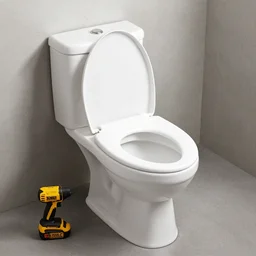 dewalt toilet