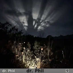 dr. phil nighttime dr. phil trailcam footage of dr. phil, spooky, dark, gloomy, dr. phil