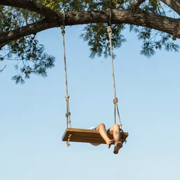 swing on a tree branch
