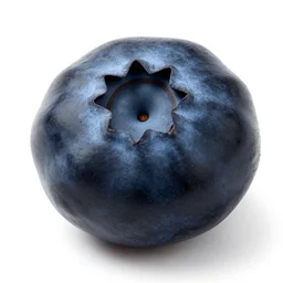 matte black blueberries, 8k product photo, isolated on a pure white background, centered, entire object in frame, sharp focus, soft studio lighting