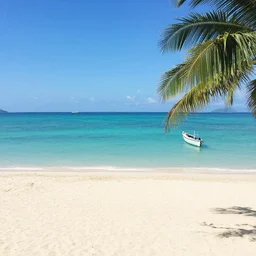photos from a dream vacation