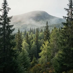 beautiful swedish forest from the view of a mountain, misty, very detailed, trending on artstation, realistic, soft colors, by simon stålenhag, by Greg Rutkowski, by James Gurney, by Afremov