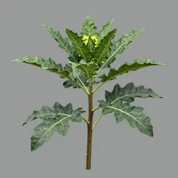datura metel 3 d model by zdzisław beksinski, artstation