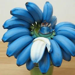 blue banana fruit photo