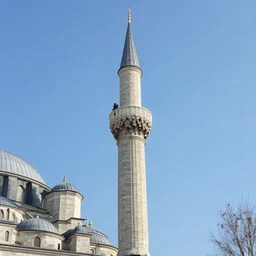 albert einstein climbed to the top of the mosque minaret