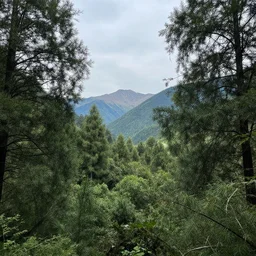 the most beautiful landscape ever
