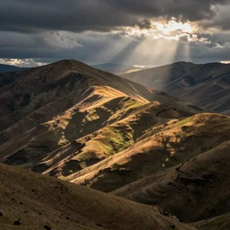 by frank franzzeta