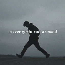 never gonna run around and