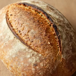 an upclose photo of a loaf of bread