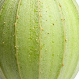 melon texture, 8 k