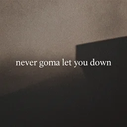 never gonna let you down