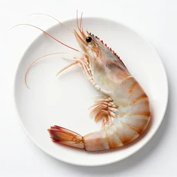 the mega shrimp