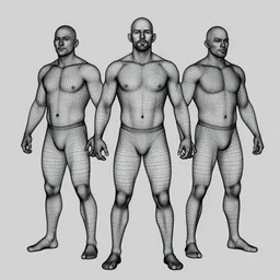 3 d wireframe model of ben askren