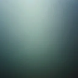 dreamlike low quality photograph of a surreal dream