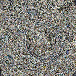 Why does a Moon-rock taste better than an Earth-rock? Because it's a little meteoor.