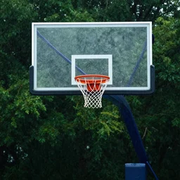 basketball hoop in the forest, rain
