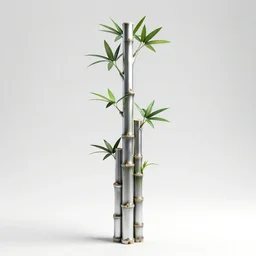 silver lucky bamboo, clean 3d render, full body, isolated on a pure white background, centered, entire subject in frame, sharp focus, soft studio lighting