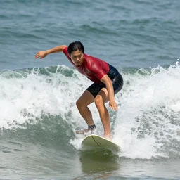 a lily surfing