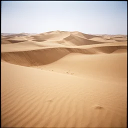 medium format portrait of rub al khali sand dunes, ektachrome,