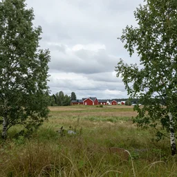 swedish landscape