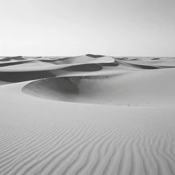 saharan desert dunes by van gogh, black and white