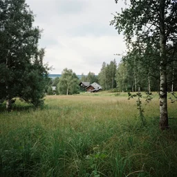 A scene of a scenic place by Anton F. Tungstronik