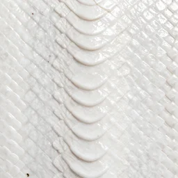 white snake skin texture