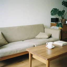 summer in the living room 2 0 2 2'/ mamiya rz 6 7 proii / 1 1 0 mm f 2. 8 / kodak portra