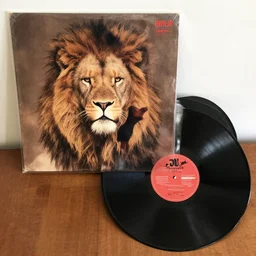 lionel richie as a vinyl
