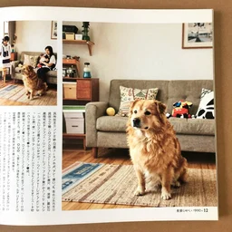 a dog in the room, a page of the 1 9 9 0 s japanese photograph magazine