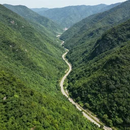 large lush landscape with mountain pass, daylight, hyperdetailed, sharp, artstation, 3 d render, ray tracing