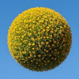 sunlight study, the universe is a spheroid region 7 0 5 meters in diameter of kauai wildflowers, art nouveau, by rachel ruysch and ( ( ( ( ( lisa frank ) ) ) ) ), 8 k, sharp focus, octane render