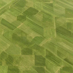 farmland aerials texture pbr materials procedural patern substance photo game cg tile textures. com gametextures studio resource image handpaint minecraft style