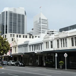 photo of a city street in wellington, new zealand but the buildings are interspersed with ancient remnant lowland podocarp broadleaf forest full of enormous trees with astelia epiphytes and vines. rainy windy day.