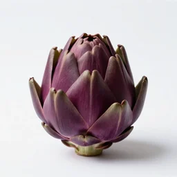 ruby red artichoke, professional product shot, isolated on a pure white background, centered, entire object in frame, sharp focus, soft studio lighting
