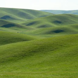 beautiful temperate landscape with rolling hills in the background and no signs of civilization except one big city that is looming over a port in the foreground